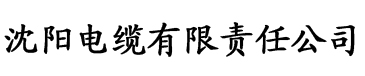 sss色视频电缆厂logo